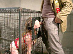 Rare pleasure for slave