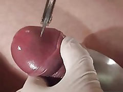Cock in hard pain