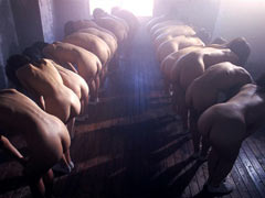 Slaves harem