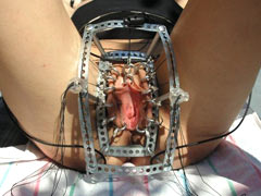 Panful pussy frame