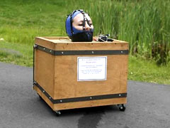Slave in the box